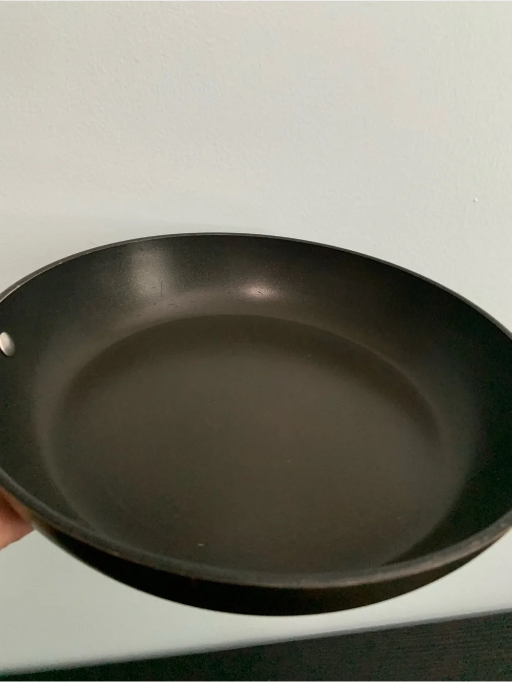 All-Clad 10.5 inch Frying Pan/Skillet